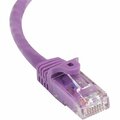 Ezgeneration 100Ft Purple Snagless Cat6 Patch Cable EZ538225